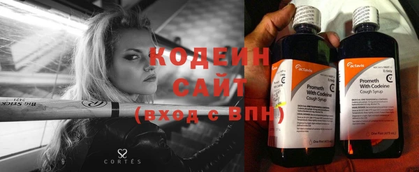 прущие грибы Богородск