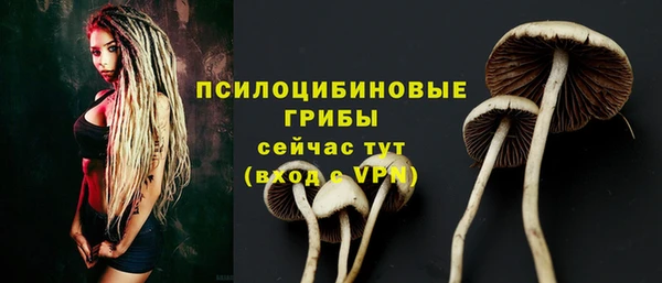 мескалин Богданович