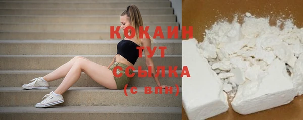 мескалин Богданович