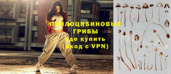 мескалин Богданович